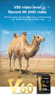 Carte mémoire SD V60 haute vitesse Extreme Pro 32 Go 64 Go 128 Go 256 Go Carte mémoire SD A2 U3 V30 Carte mémoire pour appareil photo 4K