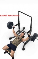 Haobai Station de musculation multifonctionnelle en acier, barre de traction réglable noire 22 kg pour usage domestique