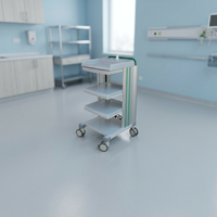 Chariot d'endoscopie flexible de haut niveau CLEBER ETA1040, qualité hospitalière, garantie 1 an, fabriqué en Turquie, assistance technique en ligne