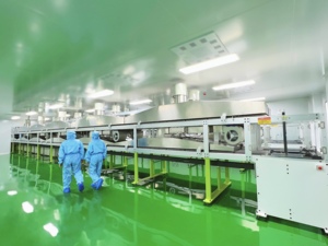 Venta al por mayor OEM claro vegetariano Kosher 0 HPMC cápsulas de celulosa Halal certificado cápsulas vegetales para vitaminas y suplementos - Product Image 2