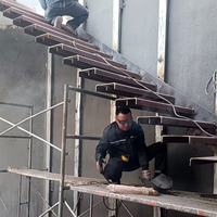Échelle industrielle en acier galvanisé pour extérieur avec balustrades et mains courantes – Services de fabrication