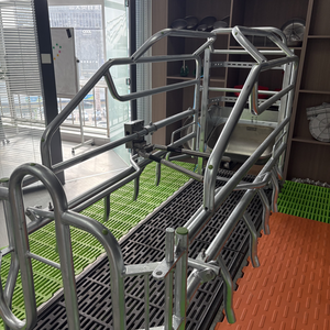 El sistema de elevación automático de la caja de parto de elevación de la granja de cerdos mejora fácilmente la tasa de supervivencia de <span class=keywords><strong>los</strong></span> lechones - Product Image 6