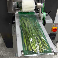 Machine d'emballage semi-automatique numérique pour coussins, film plastique PE, ensacheuse pour produits alimentaires
