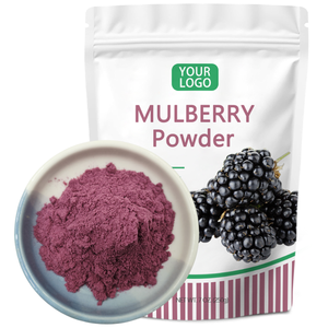 Private Label 100% чистый черный Мулберри фруктовый сок порошок Мулберри порошок - Product Image 1