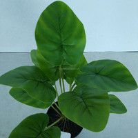 Bonsai Sutera Buatan Kecil Scindapsus Ivy Epipremnum Aureum Green Pothos 40cm Hiasan Meja Dekorasi Rumah Pernikahan Natal