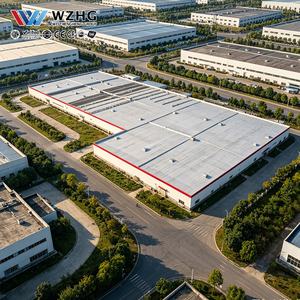Proyecto de Construcción de Estructuras de Acero de Gran Calibre para un Complejo de Almacenamiento en una Zona Franquiciada Internacional - Product Image 1