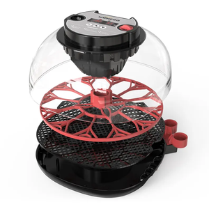 Wonegg最新透明カバー全自動小型ミニチキン/ウズラ/アヒル/赤ちゃん卵インキュベーターと孵化機12個の卵用 - Product Image 4