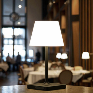 Lampada <span class=keywords><strong>da</strong></span> <span class=keywords><strong>Tavolo</strong></span> LED Portatile Ricaricabile con Telecomando, Impermeabile, Flessibile, Dimmerabile, Ecologica, Moderna, Tipo-C, per Campeggio - Product Image 1