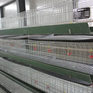 Equipo de granja de aves de corral, jaula de batería de pollo de capa apilada automática, en venta