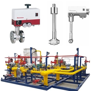 Vanne de régulation de débit de gaz pneumatique sur skid avec vanne Masoneilan série 28000 Varipak, positionneur de vanne SVI1000 7700E, OEM - Product Image 2