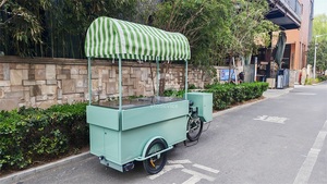 Tricycle mobile d'extérieur pour la livraison de nourriture, polyvalent 2-en-1, vélo et chariot à pousser, passage sans effort entre une remorque de vélo et un chariot à pousser - Product Image 4