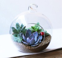 Vase en verre pour décoration de terrarium de fleurs et plantes, fabrication HDW, vente en gros à bas prix, pour la décoration de la maison