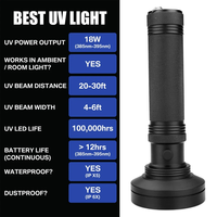 Lampe torche UV 100 LED, lampe UV 395 nm, lumière noire ultraviolette, détecteur de bijoux, d'insectes et d'animaux domestiques avec lunettes de protection UV