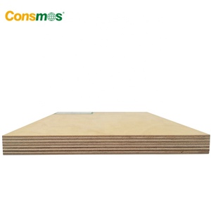 Bán buôn 4x8 9mm 18mm UV đầy đủ Bạch Dương ván ép 100% Bạch Dương ván ép - Product Image 2