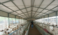 Usine de structures en acier hangar d'élevage d'animaux en acier préfabriqué à faible coût hangars d'élevage de chèvres conception étable à chèvres
