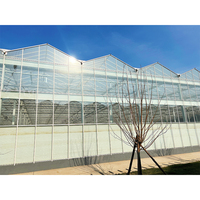 Serre agricole commerciale en verre de grande taille ZHUOTAI avec système hydroponique, origine Chine