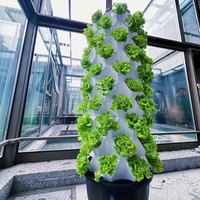 Tour d'ananas hydroponique professionnelle pour culture verticale, avec pompe d'irrigation aquaponique 30L, pour décoration de balcon et arrosage facile