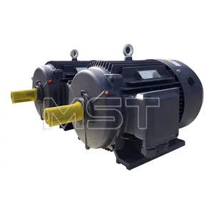 Factory Custom Speed Three Phase Induction Motor Supplier Asynchronous Induction Squirrel Cage Ac Electric Motor