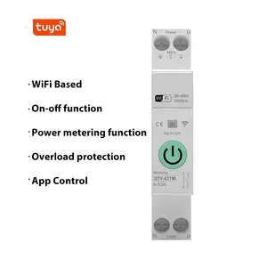 Tuya App Controlled On/Off Switch Smart Circuit Breaker for Smart Home Use