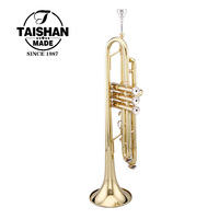 Wholesale TAISHAN TSTR-801 Brass Trumpet with Excellent Quality Beginner-Friendly Gold Lacquer Surface BB Tone Nice Price
