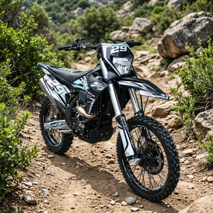 Motocicleta Todoterreno Kews K16 Nb300 Edición Lindao, Motor de 300cc Refrigerado por Agua, Frenos de Disco Delanteros y Traseros, Transmisión por Cadena, 113kg, 95km/h, NB 300 L - Product Image 1