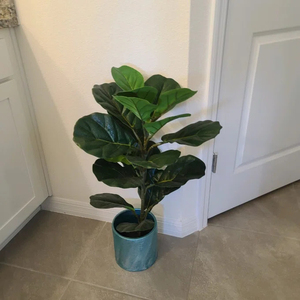 Albero di Ficus Lyrata Artificiale Grande in Materiale PE Resistente ai Raggi UV, Ecologico, per Decorazione Interna del Soggiorno - Product Image 6