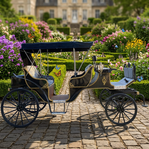 Carruaje Eléctrico de Paseo Personalizado con Diseño de Caballos Negros, Precio de Fábrica, Venta al Por Mayor, para Parques Temáticos, Bodas y Viajes - Product Image 1