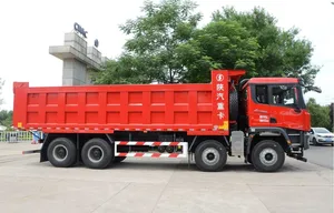 自動車用大型トラックDelonghi X3000 550 HP 8X4 8.8mダンプトラック (National VI) (SX33195D506)