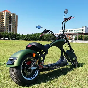 Citycoco 3000 vatios CEE COC scooter Eléctrico 1500w potente de la motocicleta para adultos Europa almacén