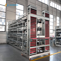 Cages à poulets automatiques à batterie de type H produites en usine en Chine pour la vente