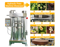 Presse à huile hydraulique commerciale de grande taille, machine d'extraction d'huile à froid à haute efficacité