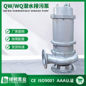 Bomba Sumergible Eléctrica Móvil de Acero Inoxidable Tipo QW de Alto Flujo, Bomba para Aguas Residuales Antiobstrucción para Maquinaria de Tratamiento de Residuos - Product Image 5