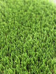 Gazon artificiel 2 étoiles sur mesure | Antidérapant et absorbant les chocs pour les terrains de football professionnels - Product Image 2