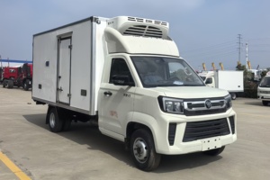 Nouveau camion <span class=keywords><strong>frigorifique</strong></span> FOTON 4x2, véhicule de transport <span class=keywords><strong>frigorifique</strong></span>, petit véhicule de transport de crème glacée - Product Image 3