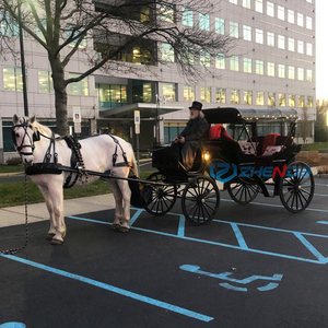 Wedding Electric Horse Carriage/luxury Sightseeing Horse Carriage/<b>double</b> Row Luxury Wedding Horse Carriage - Product Image 5