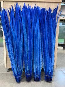 Plumas <span class=keywords><strong>de</strong></span> Faisán <span class=keywords><strong>de</strong></span> 60-65 cm <span class=keywords><strong>de</strong></span> Largo, Teñidas <span class=keywords><strong>de</strong></span> Azul Real, Plumas <span class=keywords><strong>de</strong></span> Cola <span class=keywords><strong>de</strong></span> Faisán Anillado, Plumas <span class=keywords><strong>de</strong></span> Faisán en <span class=keywords><strong>Venta</strong></span>, Disfraz <span class=keywords><strong>de</strong></span> Carnaval Sexy - Product Image 6