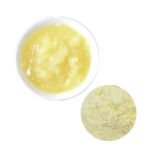Arı sütü toz 2% 5% HDA doğal arı sütü üretim gıda sınıfı liyofilize arı sütü toz - Product Image 2
