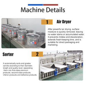 Ligne de traitement industrielle pour carottes et radis : machine de lavage, pelage, tri, pesage et emballage de carottes - Product Image 3