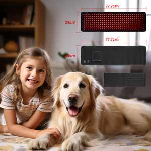 Miếng Bọc Ánh Sáng Hồng Ngoại Sâu Có Thể Đeo Được 660nm LED ODM/OEM Thiết Bị Giảm Đau Đai Trị Liệu Ánh Sáng Đỏ - Product Image 5