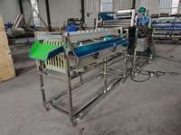 Machine multifonctionnelle SS304 pour le séchage des tomates Saladett Classificateur de pommes de terre Trieuse de fruits Machine de classement
