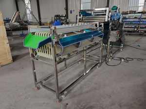 Pathway multifuncional SS304 <span class=keywords><strong>Tomate</strong></span> Saladett Clasificador de secado al aire Máquina clasificadora de frutas para dimensionar patatas Máquina clasificadora - Product Image 4