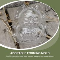 Moule en plastique Transparent réutilisable de 9 CM en forme de Fruits, légumes, Melon, moulage de mise en forme de bouddha, vente en gros
