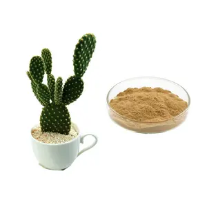 Hoodia Cactus Extract Powder Cactus Plant Extract 20:1