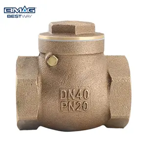 BWVA China Manufacturer Standard 2.0Mpa BSP NPT Thread 1/2" 1" 2" Bronze Swing Check Valve Non Return Valve