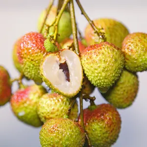 Trái cây tươi (FI tsz siu) tươi ngon ngọt Lychee lichee Litchi Lichi