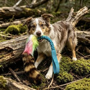 Juguete Ecológico Personalizado para Perros, Cola de Mapache Auténtica, Juguete Interactivo para Exteriores, Juguete de Alta Calidad para Masticar y Jugar para Perros Grandes - Product Image 3