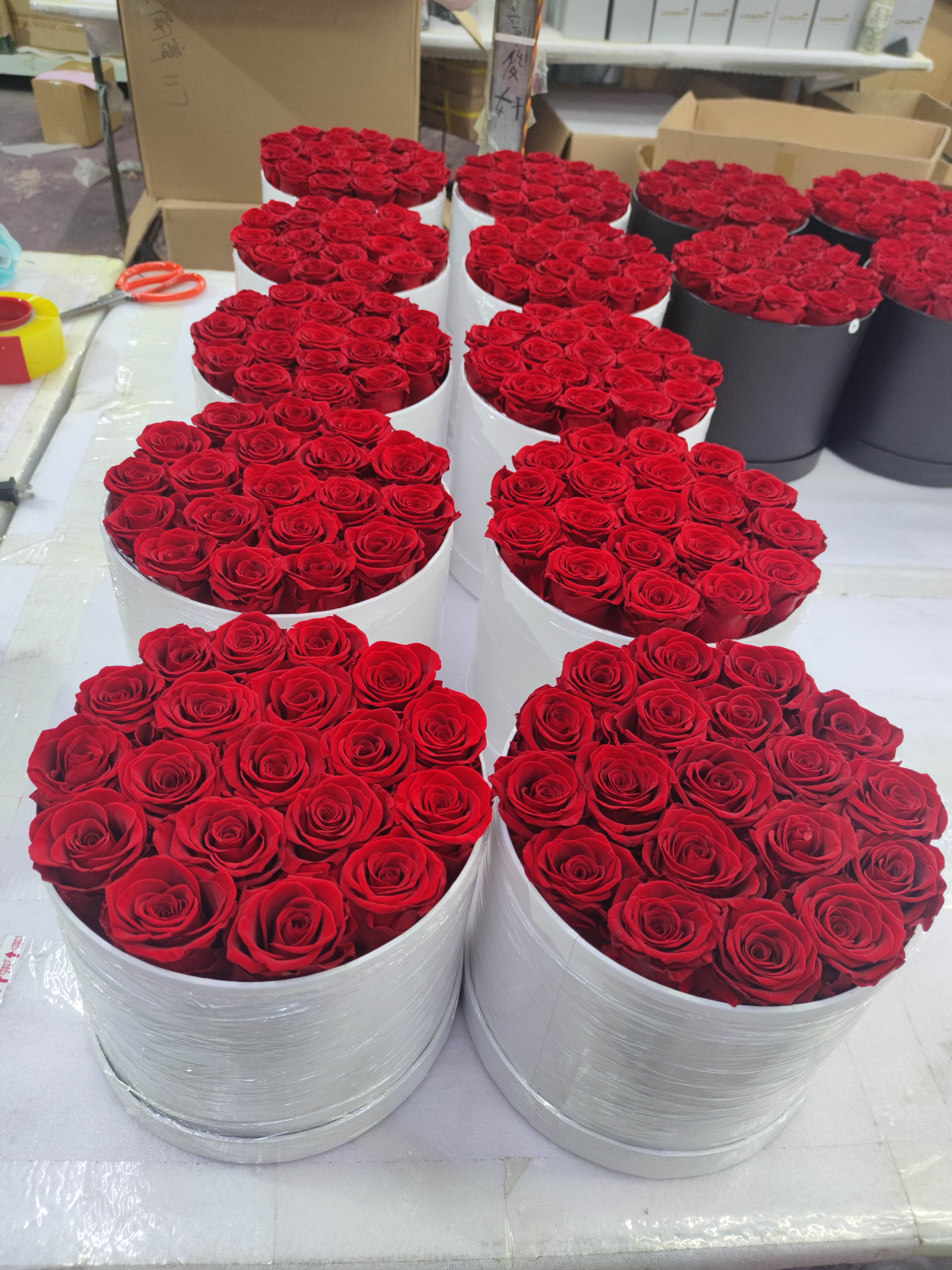 19 rosas en caja redonda
