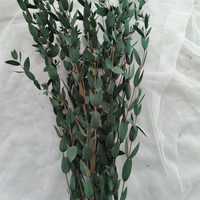 Tiges d'eucalyptus séchées conservées Verdure préservée Véritable Eucalyptus frais exotica Branches de plantes couronne décoration de mariage à la maison