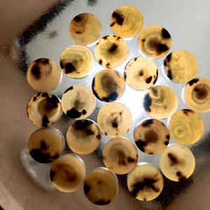 Nouveaux Boutons en Corne Naturelle Faits Main Écologiques de Haute Qualité Style Classique à Dos Plat pour Costumes et Manteaux – Vente en Gros, Idéal Cadeau d'Affaires - Product Image 1