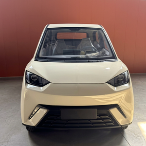 2026 Vehículo Eléctrico de Movilidad para Adultos de Baja Velocidad, 4 Ruedas, Totalmente Cerrado, Tipo Mini Coche, Venta Caliente China, Fabricantes - Product Image 1